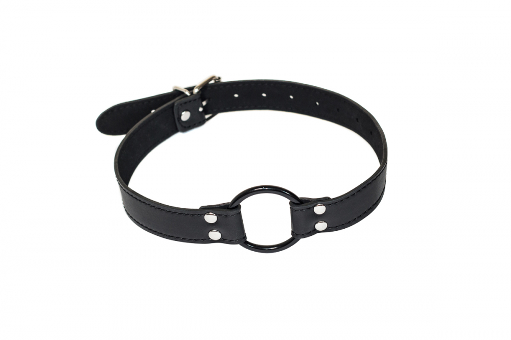 Кляп Party Hard Modesty