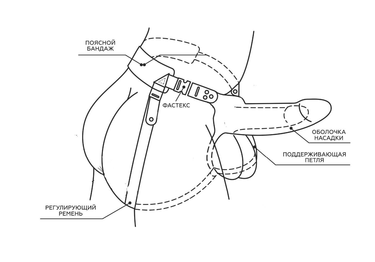 Фаллоимитатор поясной пустотелый с бандажом, Светлый