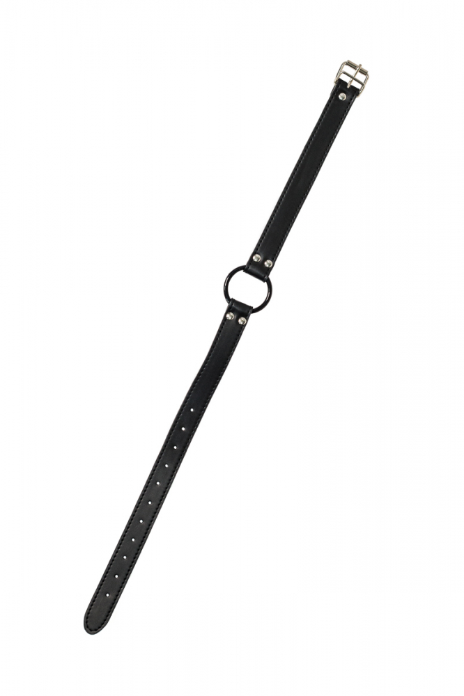 Кляп Party Hard Modesty