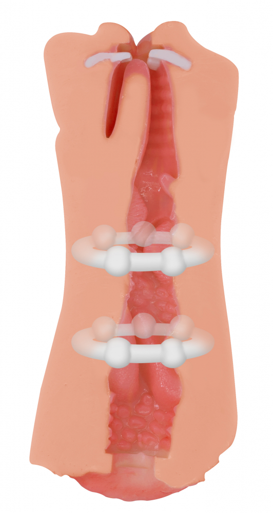 Двойной мастурбатор Satisfaction Goddess of Love 