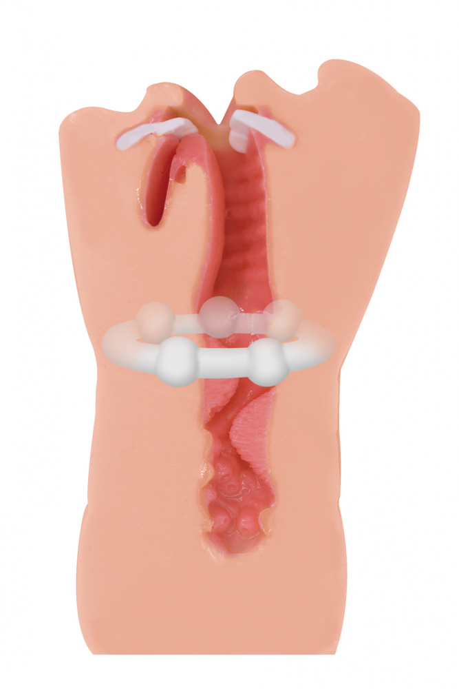 Мастурбатор Satisfaction "Hot Babe"